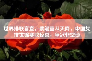 世界排联官宣，蔡斌喜从天降，中国女排世锦赛收惊喜，争冠非空谈
