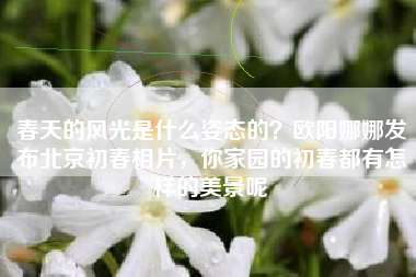 春天的风光是什么姿态的？欧阳娜娜发布北京初春相片，你家园的初春都有怎样的美景呢